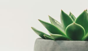 scott-webb-hDyO6rr3kqk-unsplash (1)