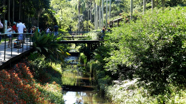 Jardim Botânico SP